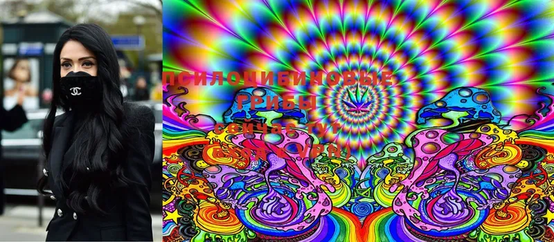 наркота  Бокситогорск  MEGA ссылки  Галлюциногенные грибы Magic Shrooms 